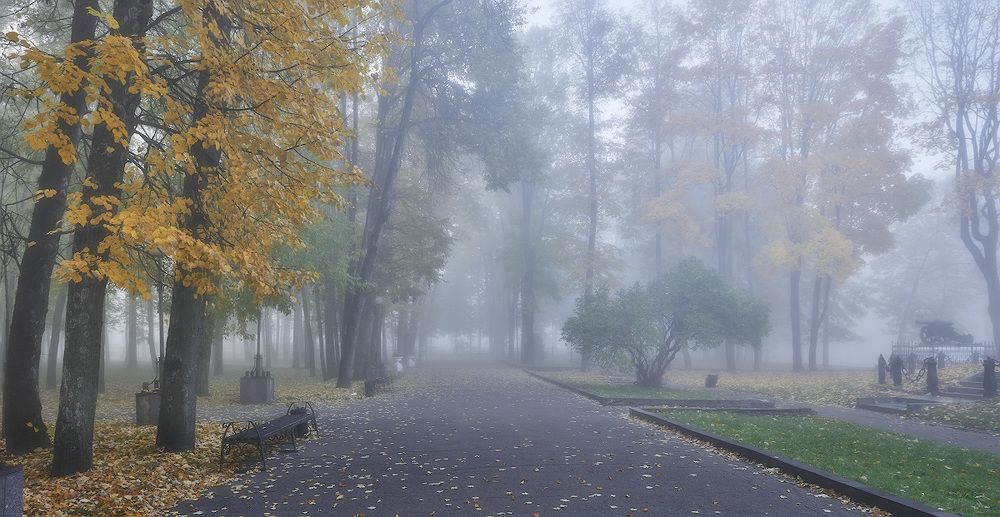 Осенью в парке...
