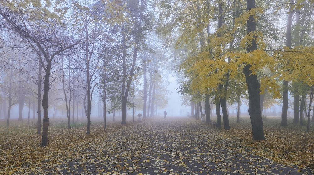 Осенью в парке...