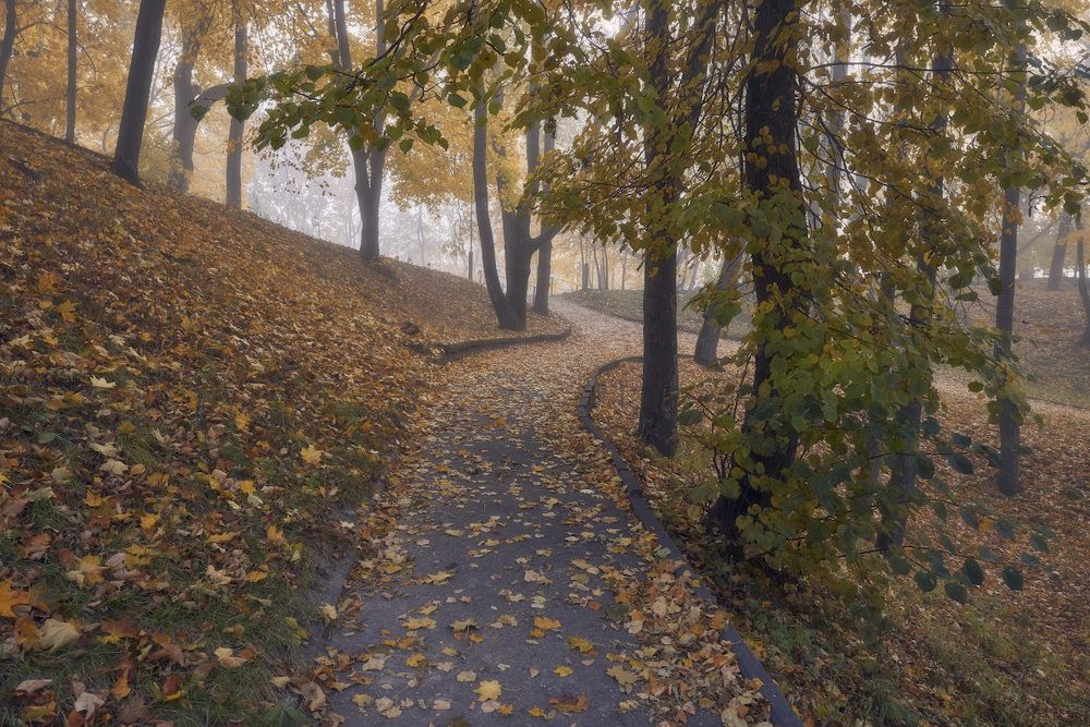 Осенью в парке...