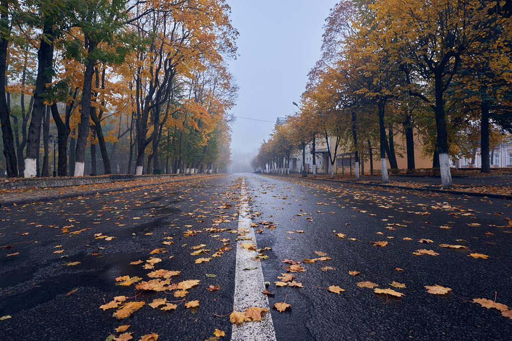 Осенью в парке...