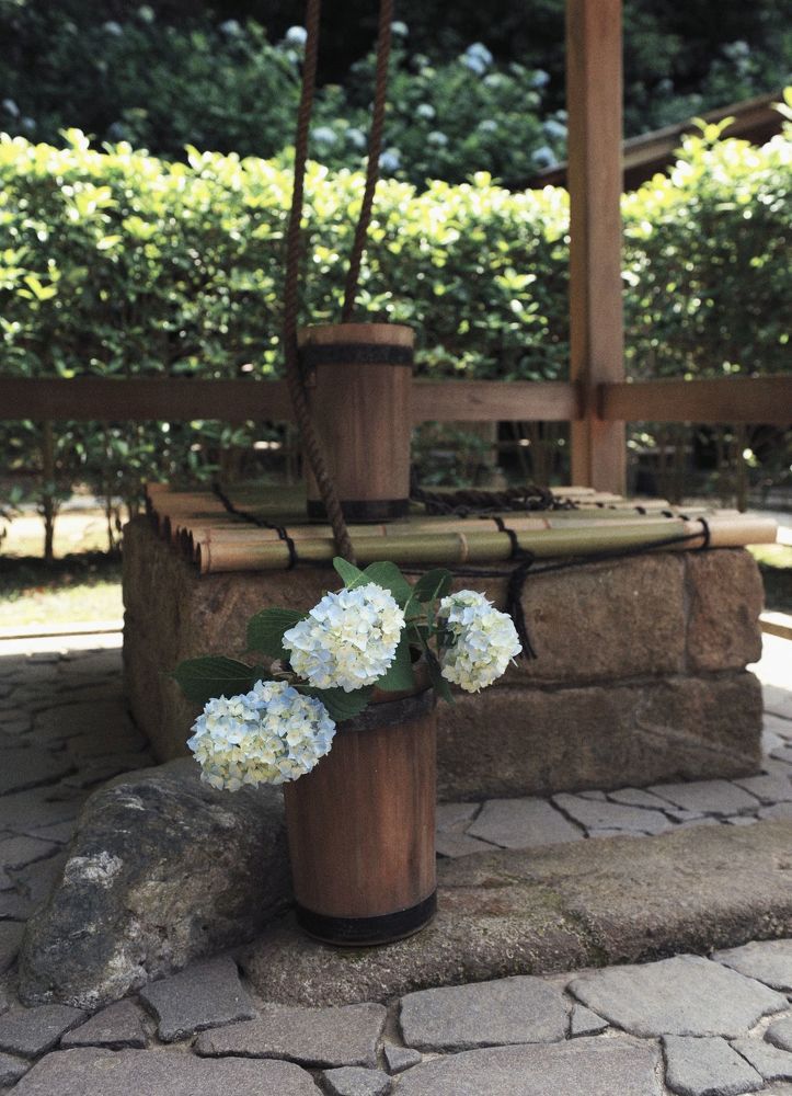 Japanese rose/hydrangea