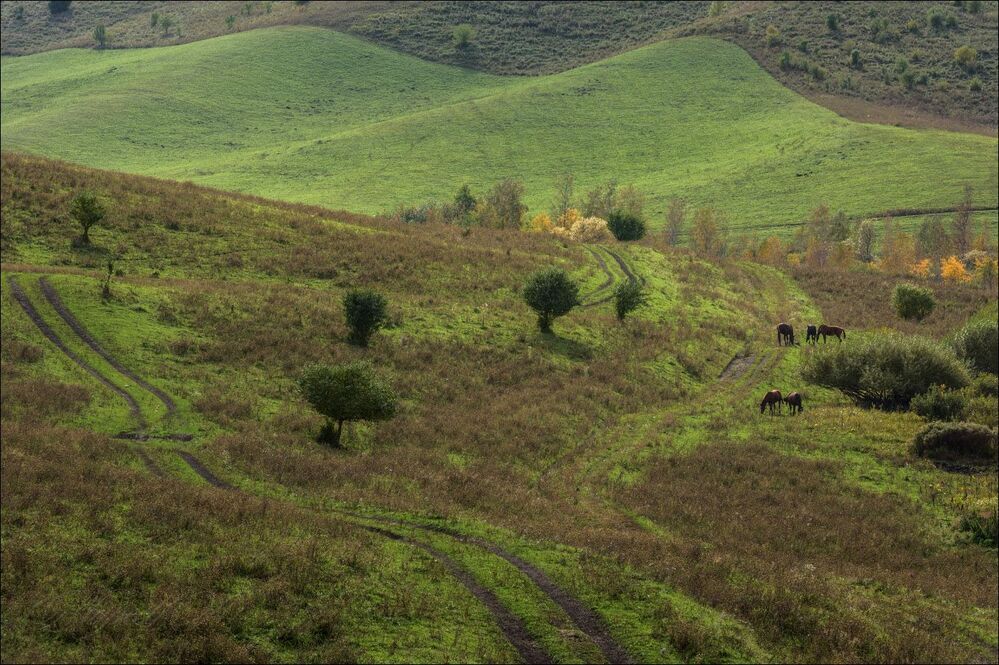 Пастораль, или алтайская Тоскана.