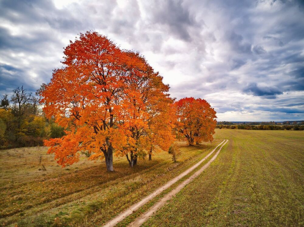 Осень в Наднемане