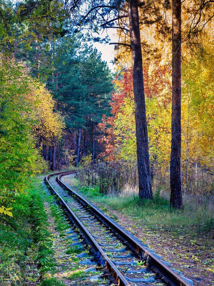 Осенние зарисовки