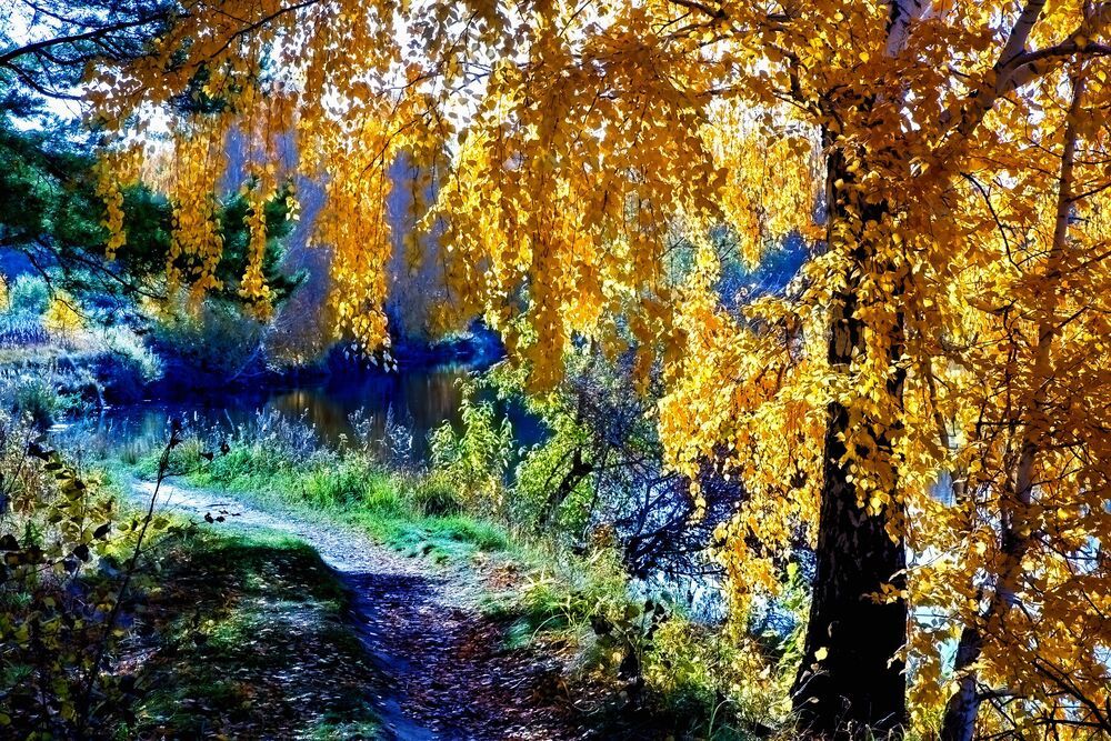 Осенние зарисовки