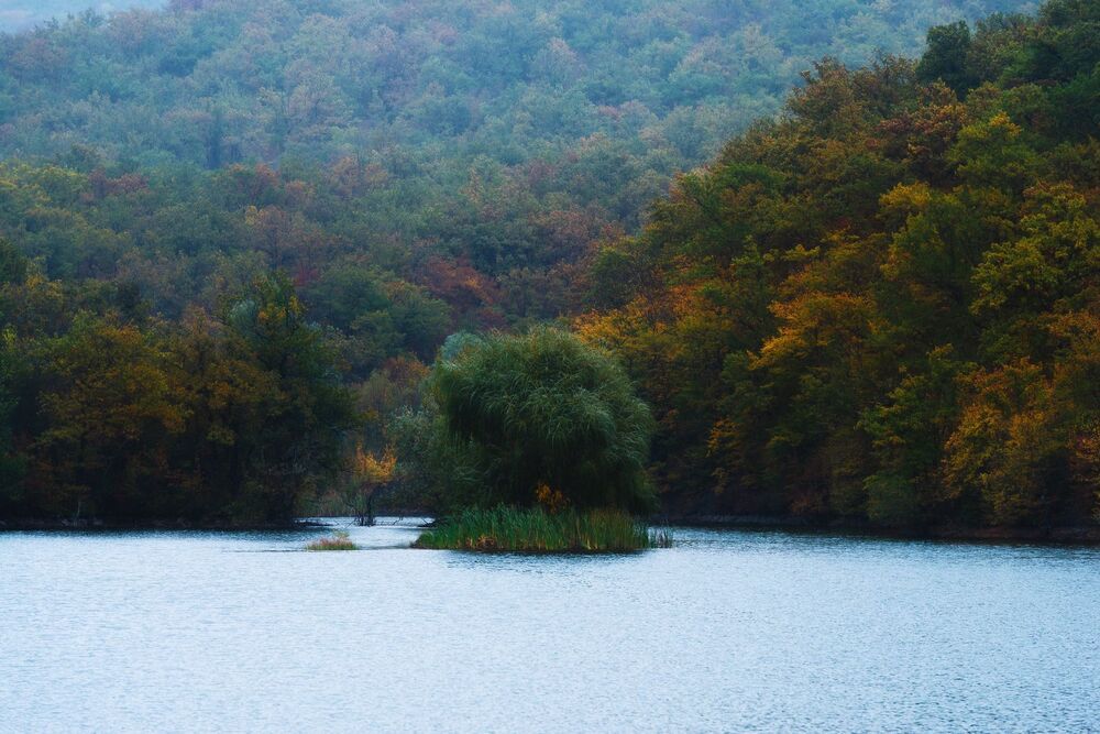 Краски осени