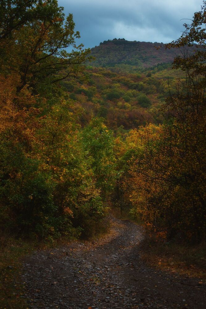 Краски осени