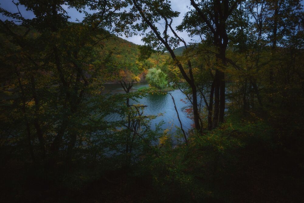 Краски осени