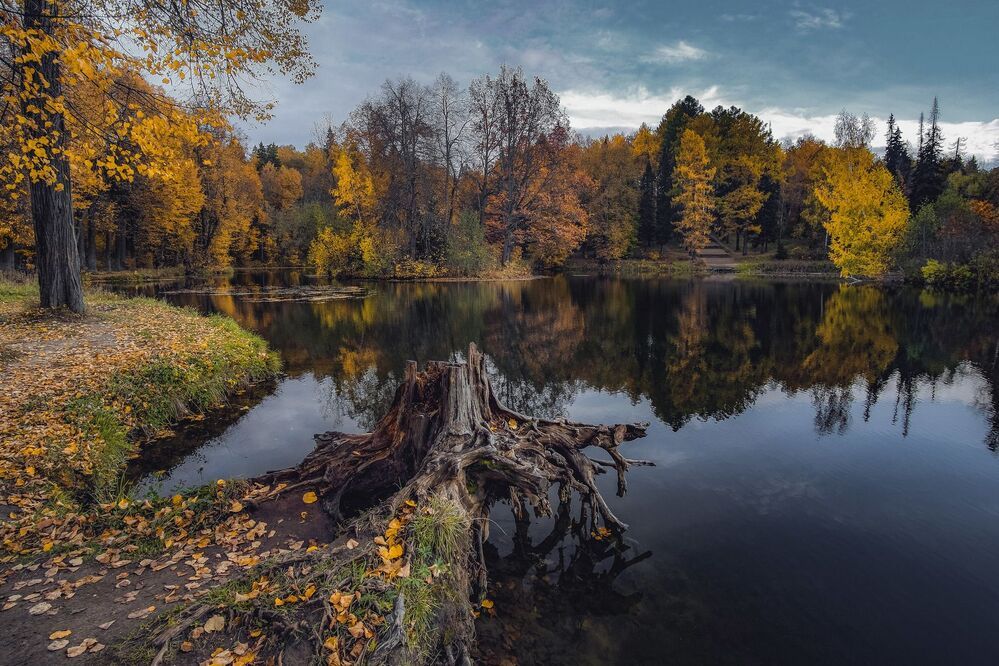 Мрачная красота осенней природы