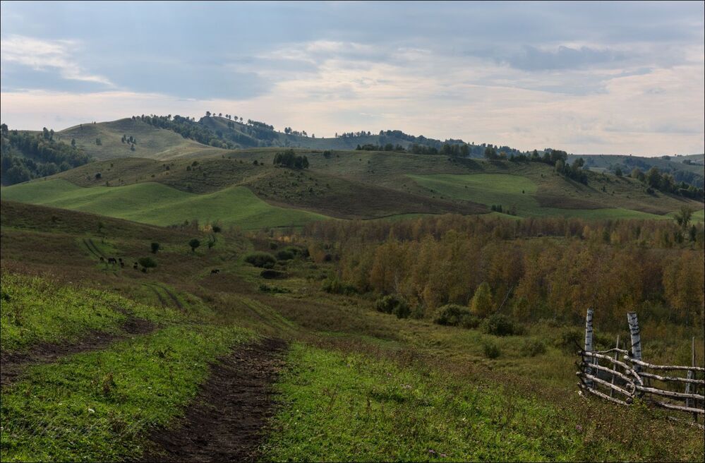Алтайская пастораль