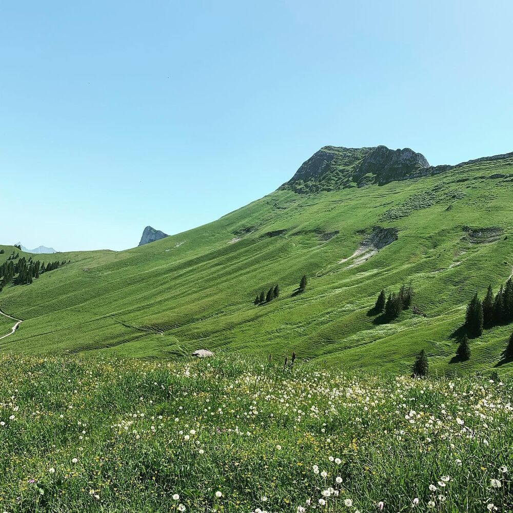 The Mountain