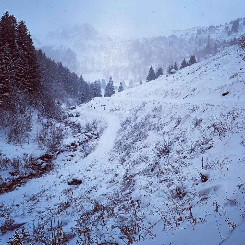The Mountain