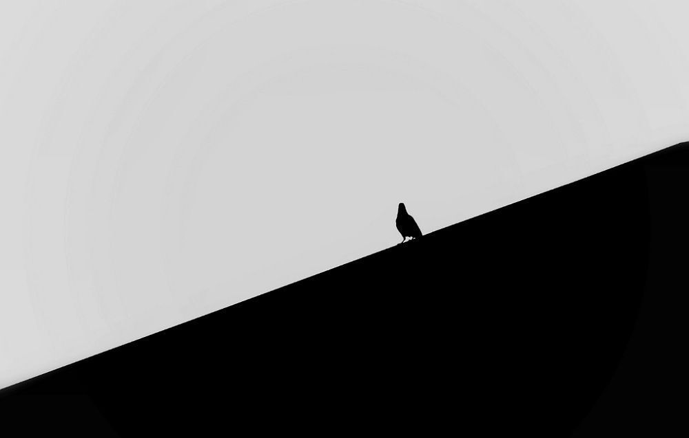 Photo 1554328