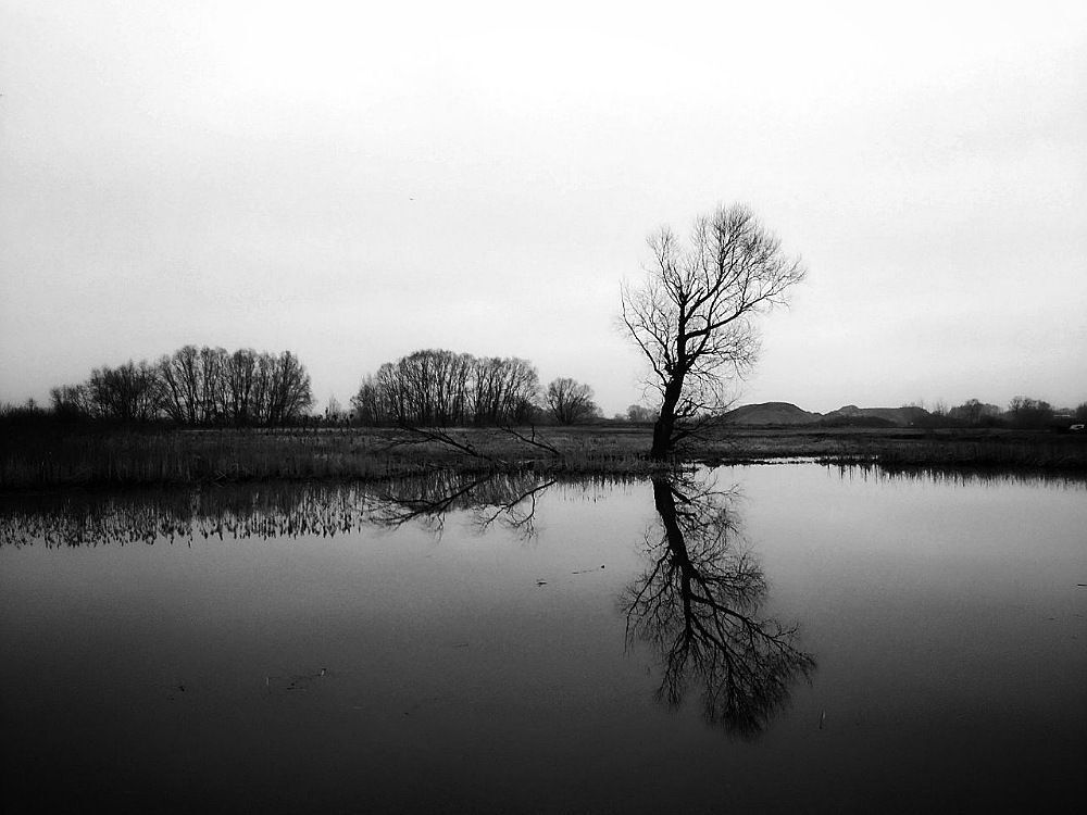 Photo 1554329