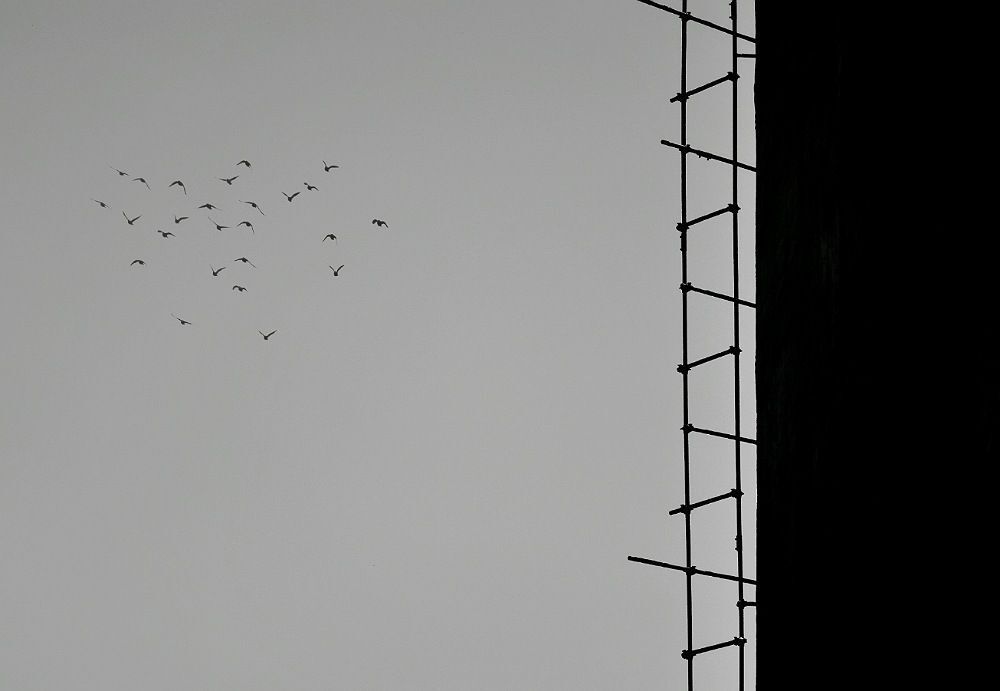 Photo 1554331