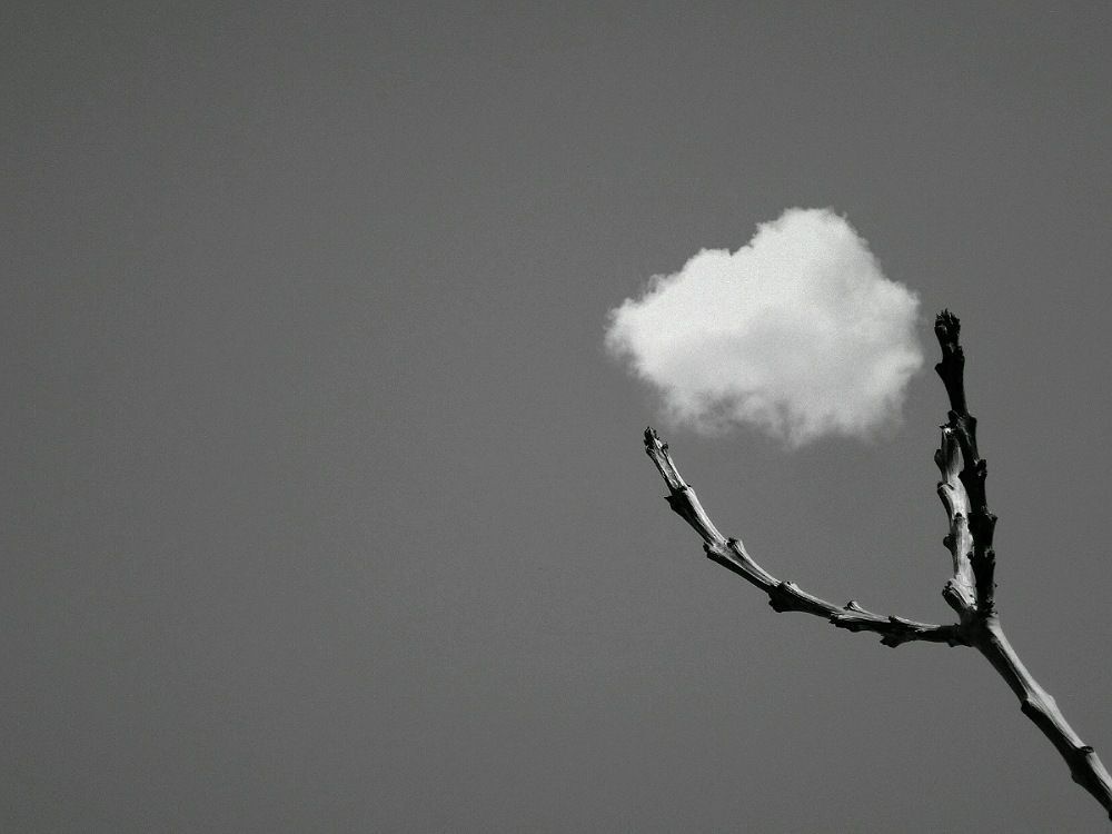 Photo 1554336