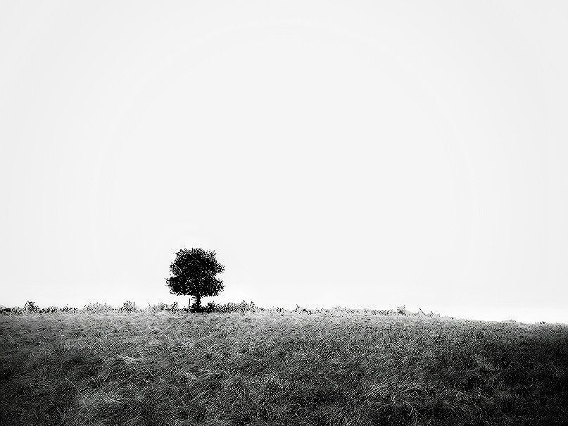 Photo 1554337