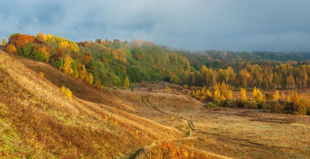 И снова Осень...