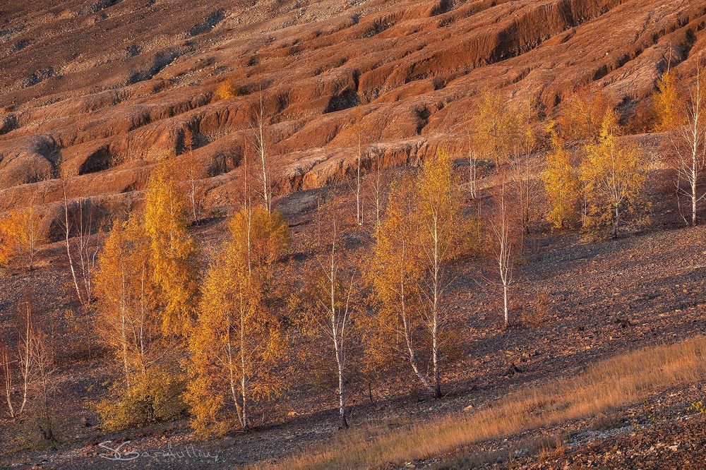 Не Марс, не Луна, планета Земля