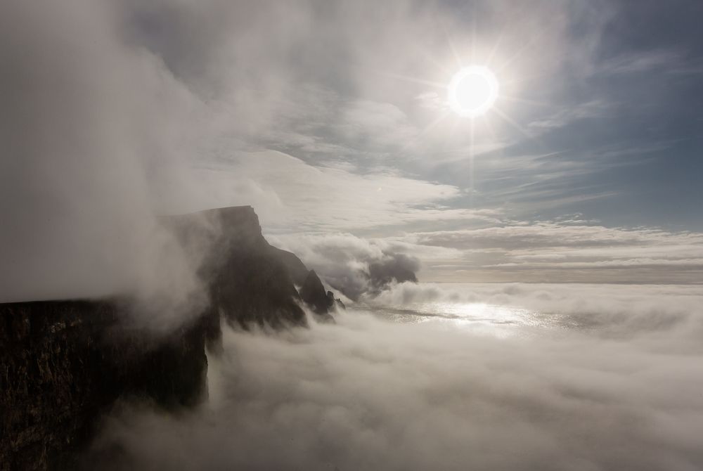 Photo 1555687