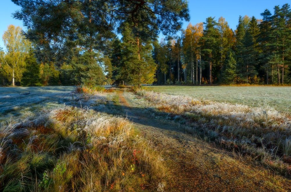 Зима . . . проба пера)