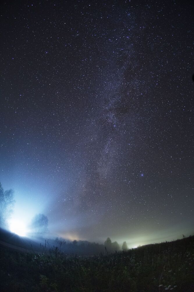 Photo 1556237