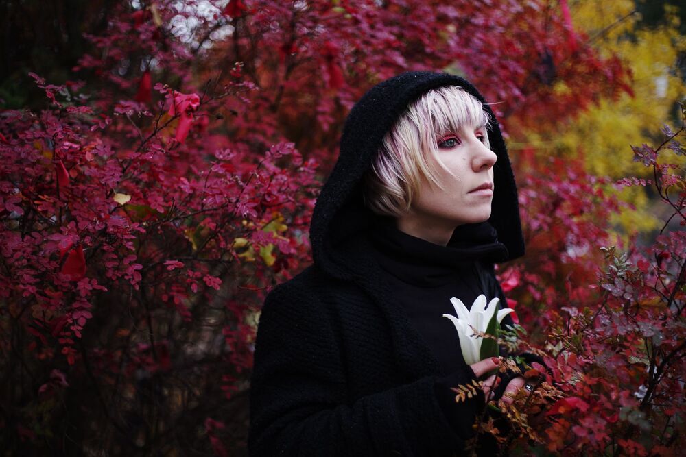 Photo 1556251