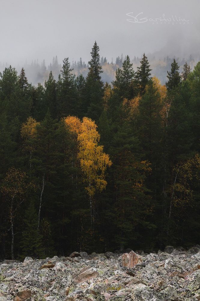 Уральская КАМЕННАЯ река