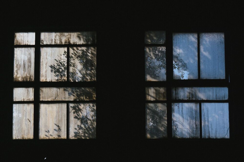 Photo 1556283