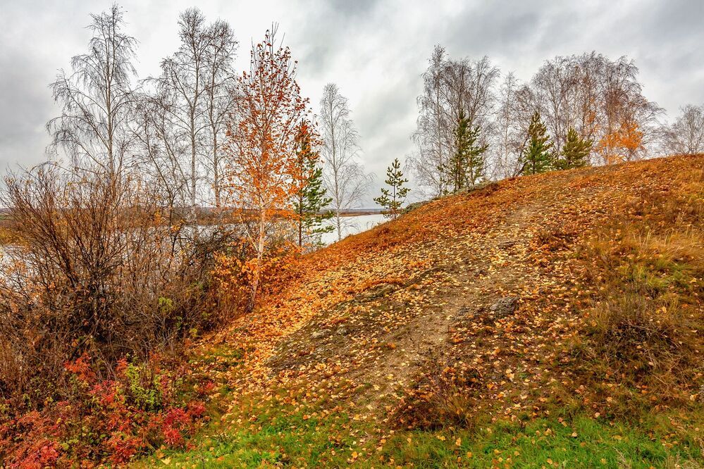 Осень