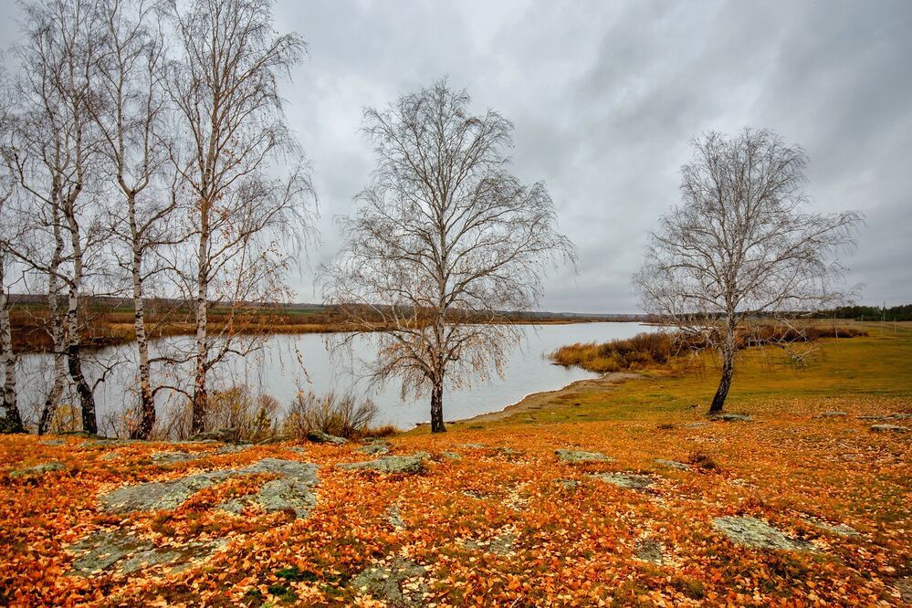 Осень