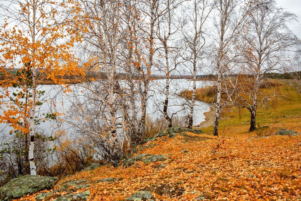 Осень