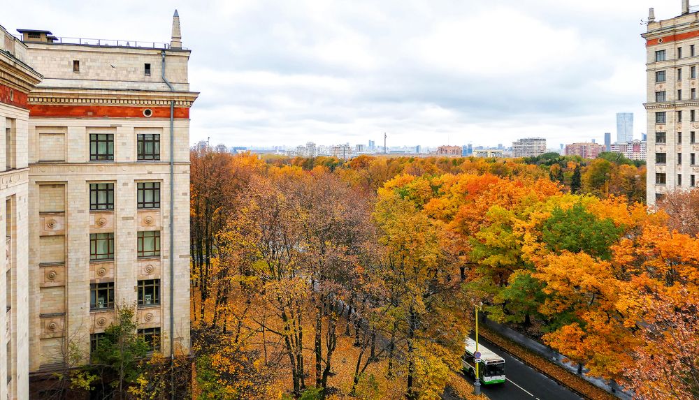Автобус и осень