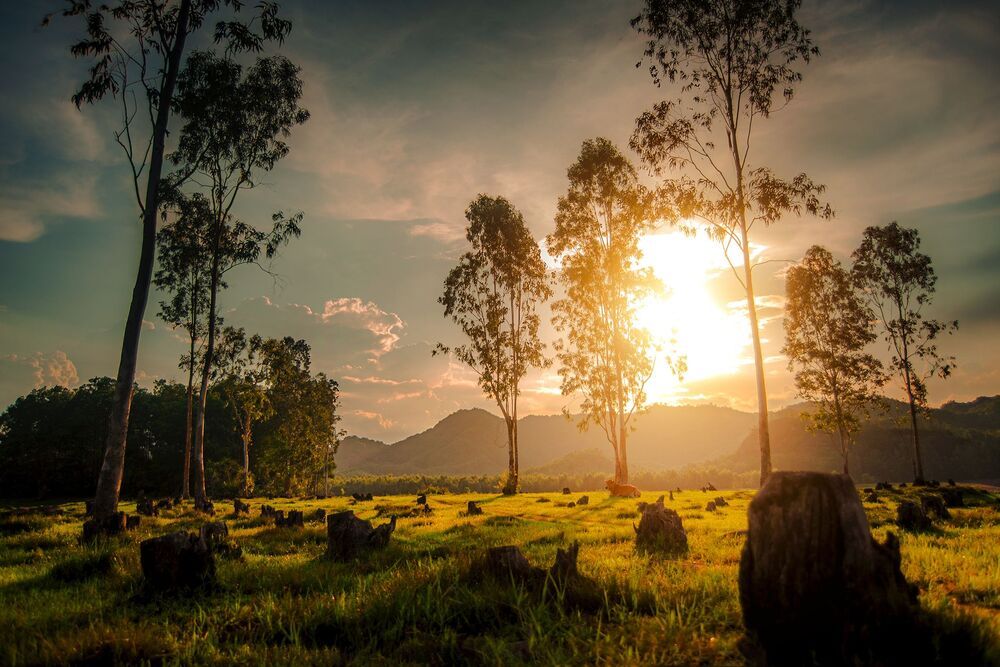 Somewhere in Viet Nam
