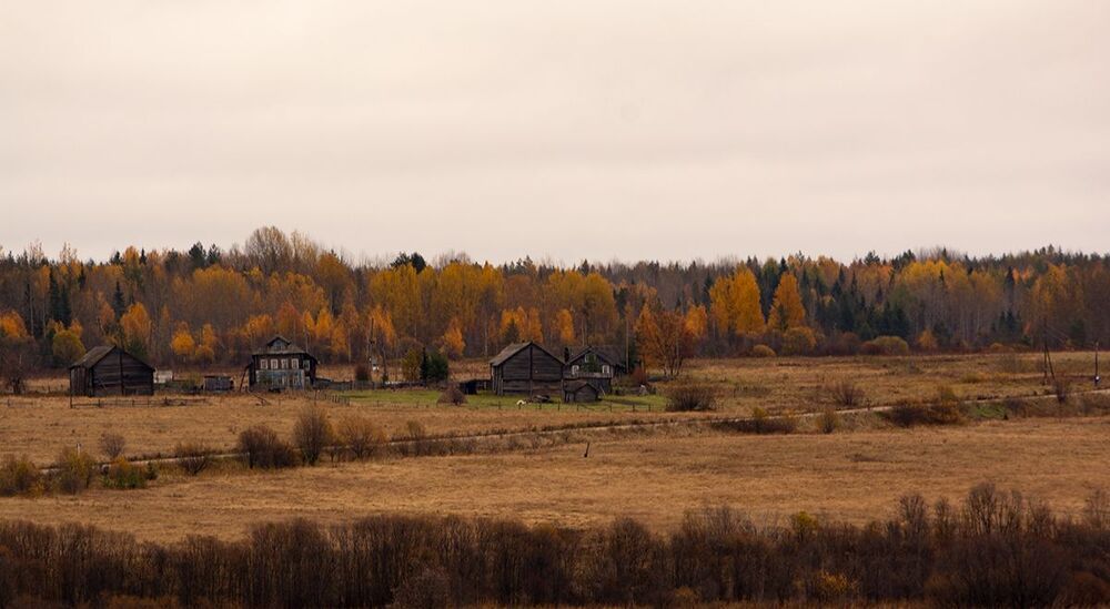 Турчасовские просторы.