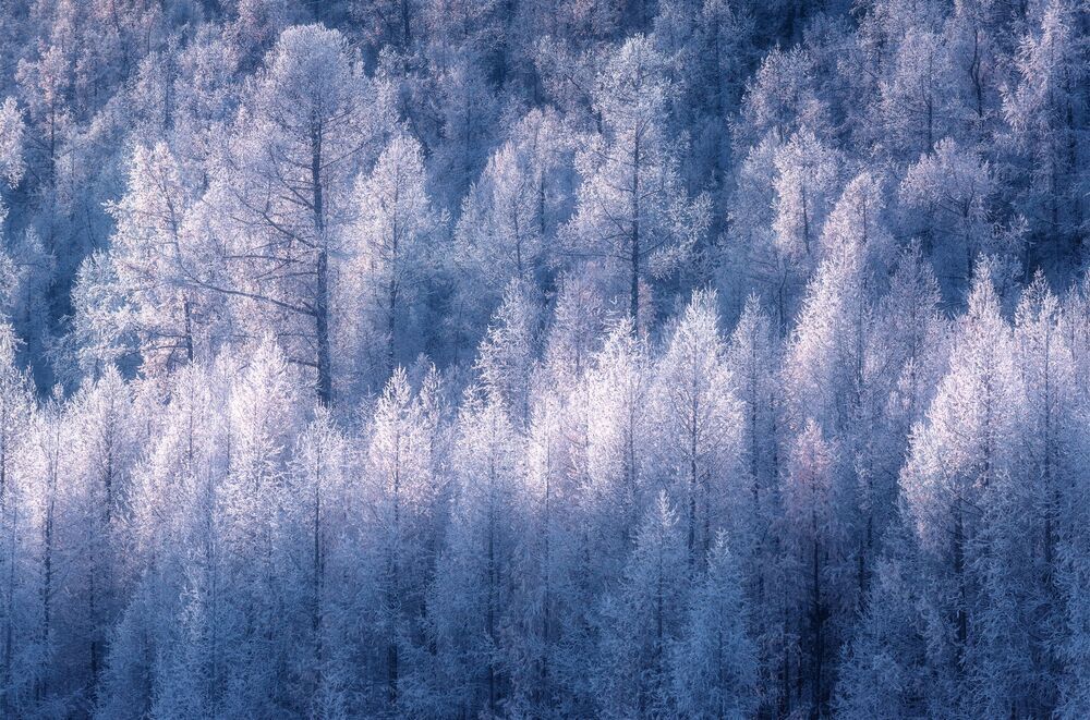 The Power of Nature