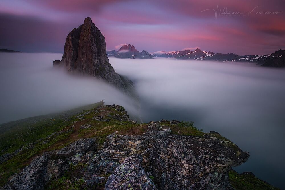 SENJA