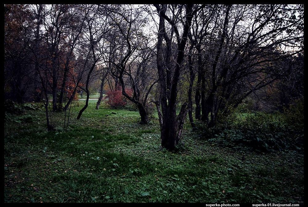 Ботанический сад им. Н.В. Цицина РАН