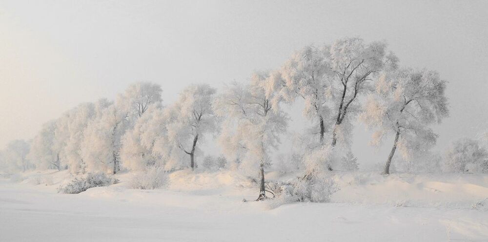 snow