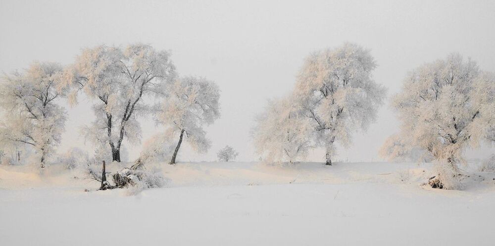 snow