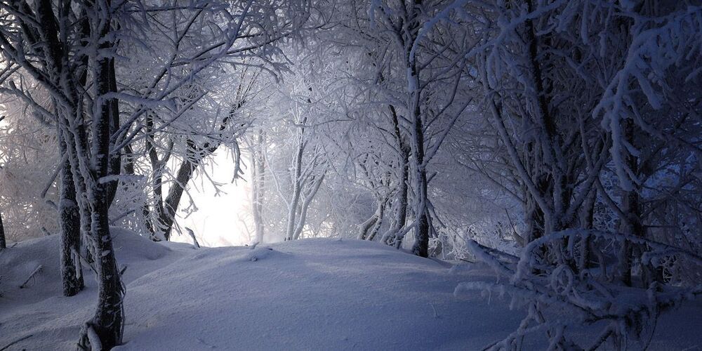 snow