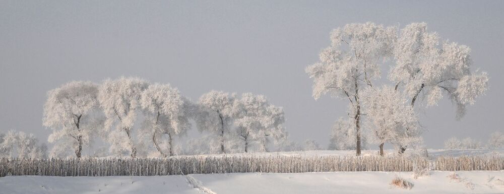 snow