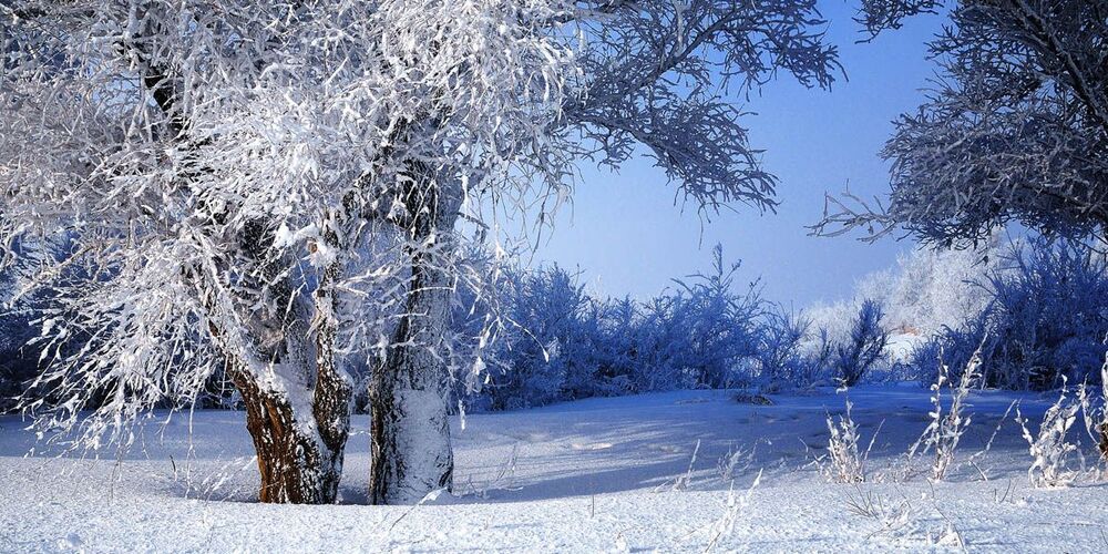 snow