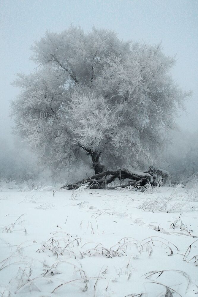 snow