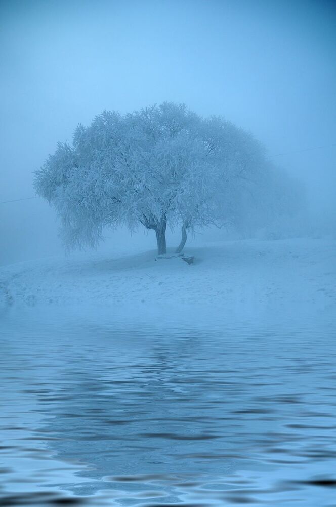 snow