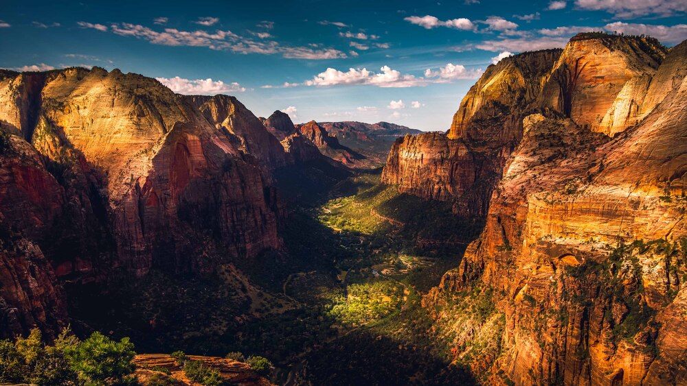 My Portfolio
