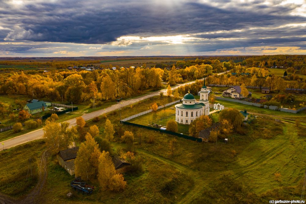 Церковь Илии Пророка. Тульская область, Одоевский район, с. Жемчужниково