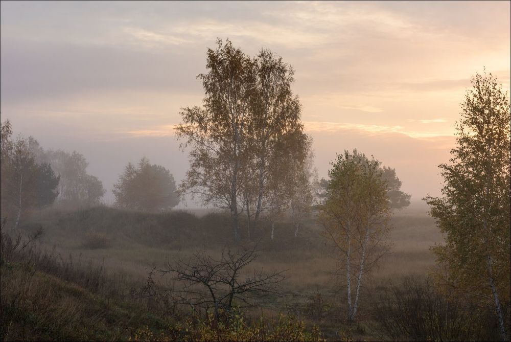 Первые проблески солнца