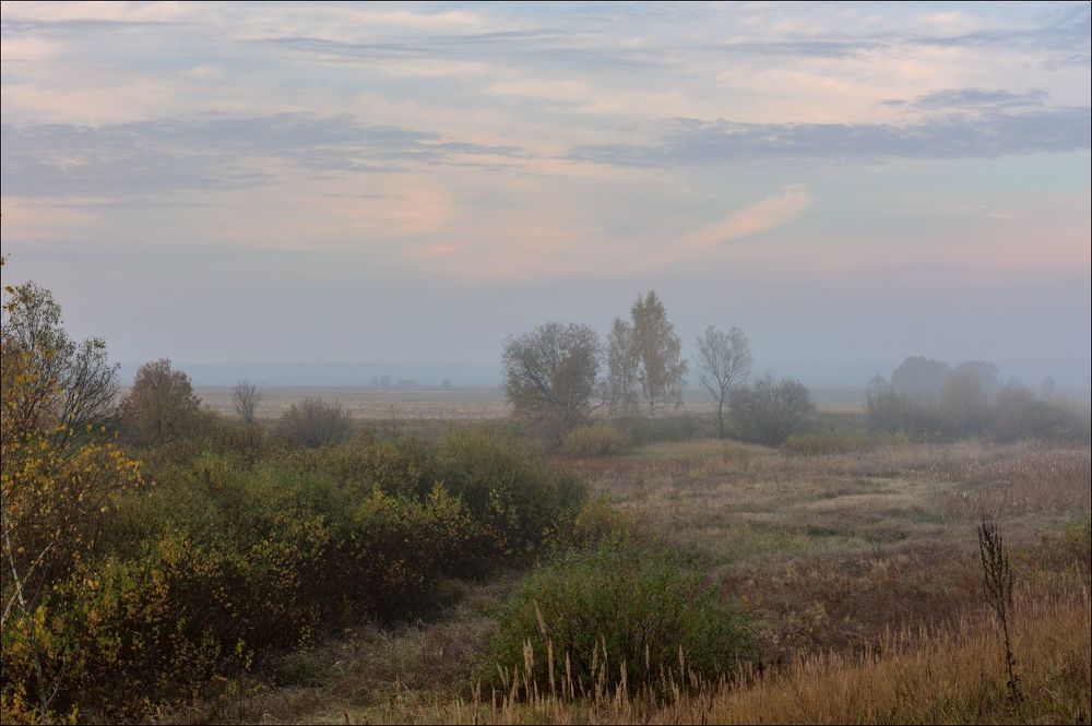 На восходе в полях