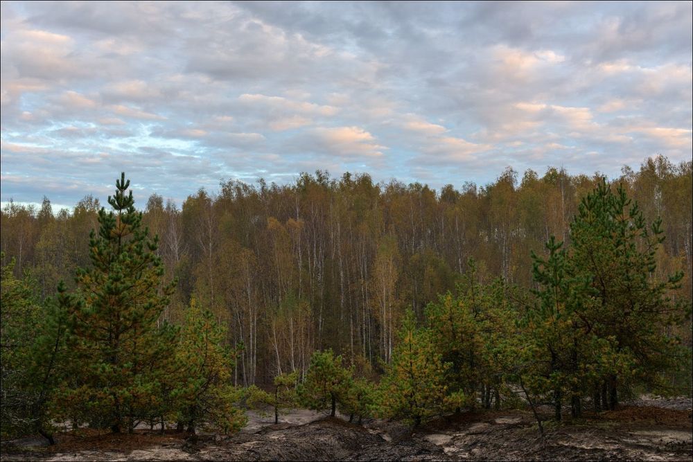 Октябрьский восход в лесу на старых карьерах